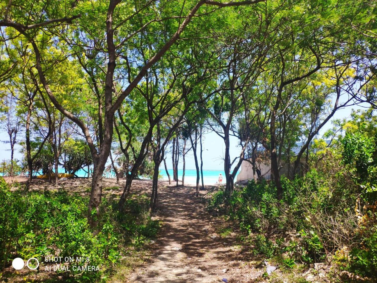 Aurora Beach Hotel Nungwi Dış mekan fotoğraf